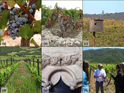 Assessing Ecosystem Services and Multifunctionality for Vineyard Systems